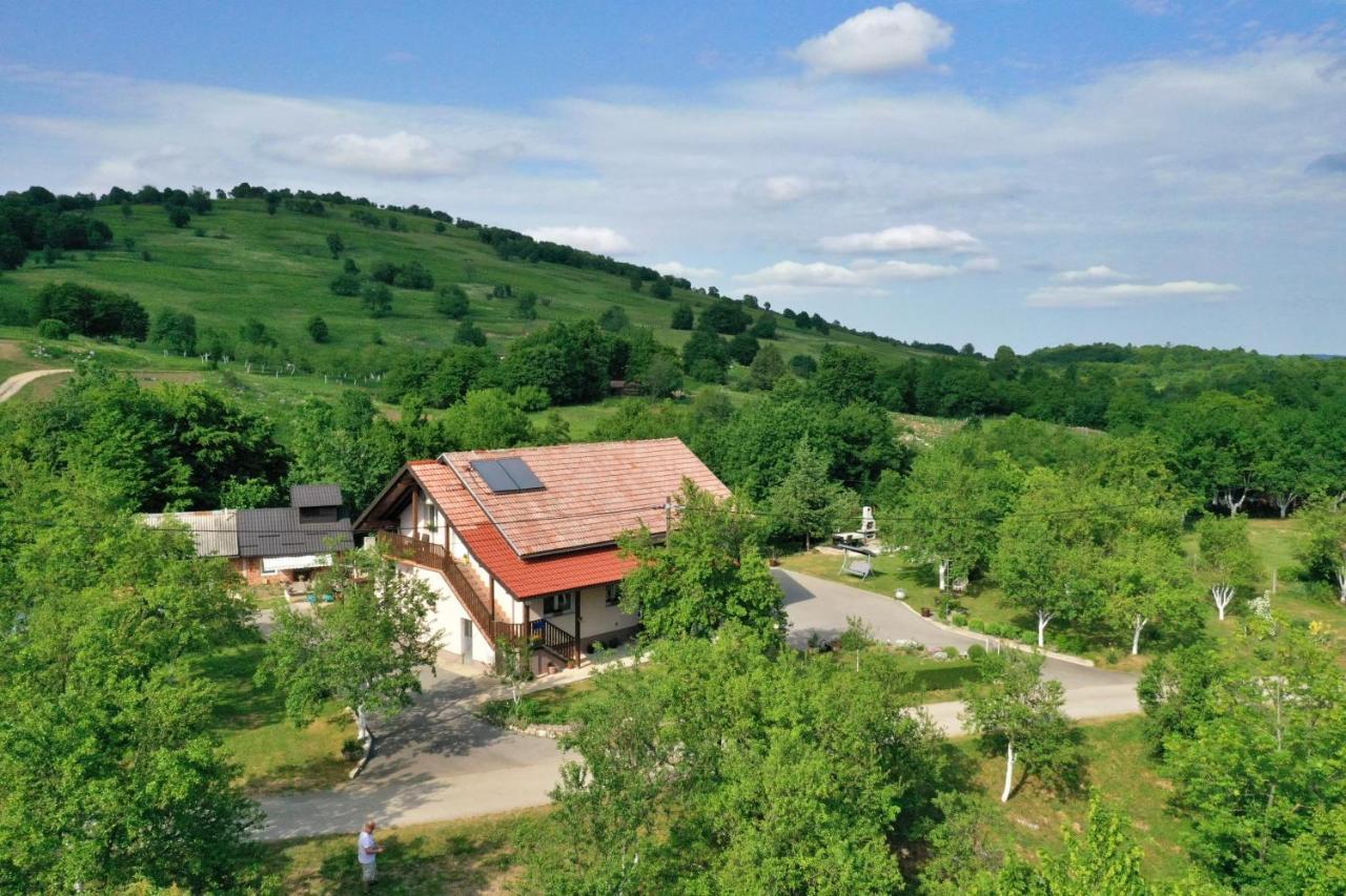 Apartment Andreja Selište Drežničko Kültér fotó